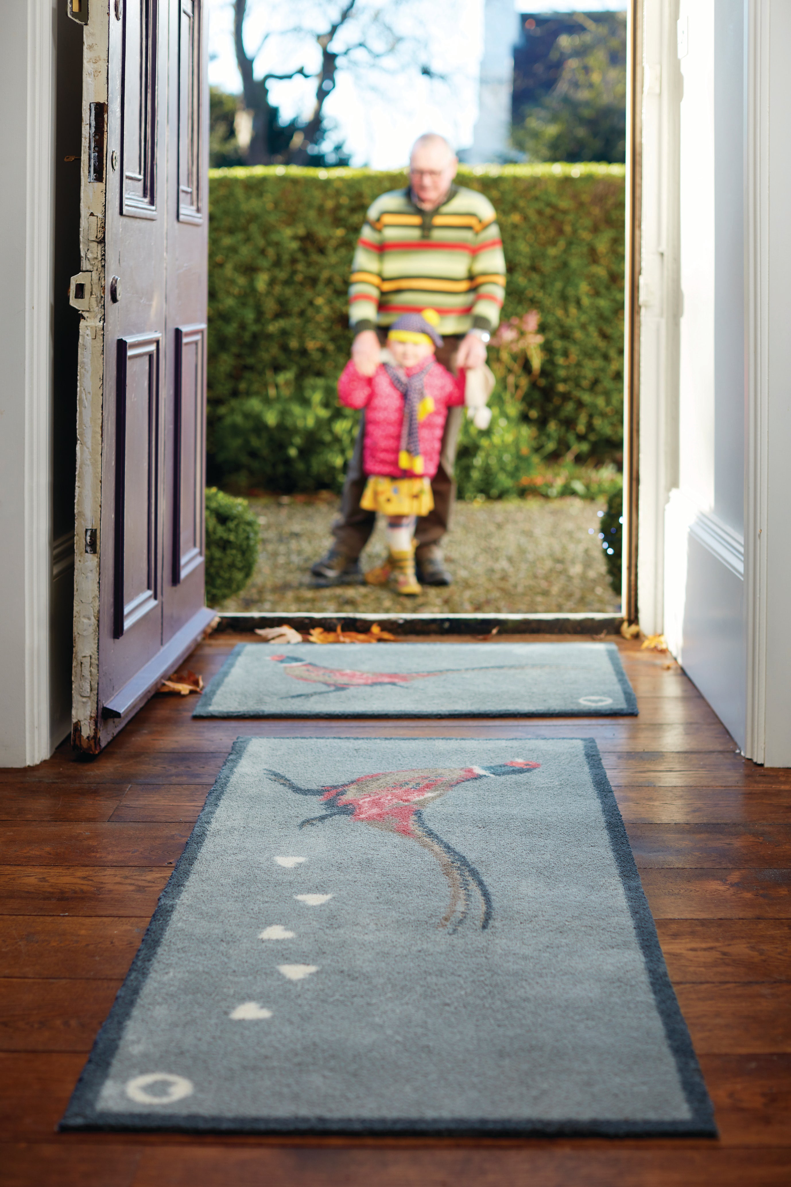 Pheasant 1 Runner