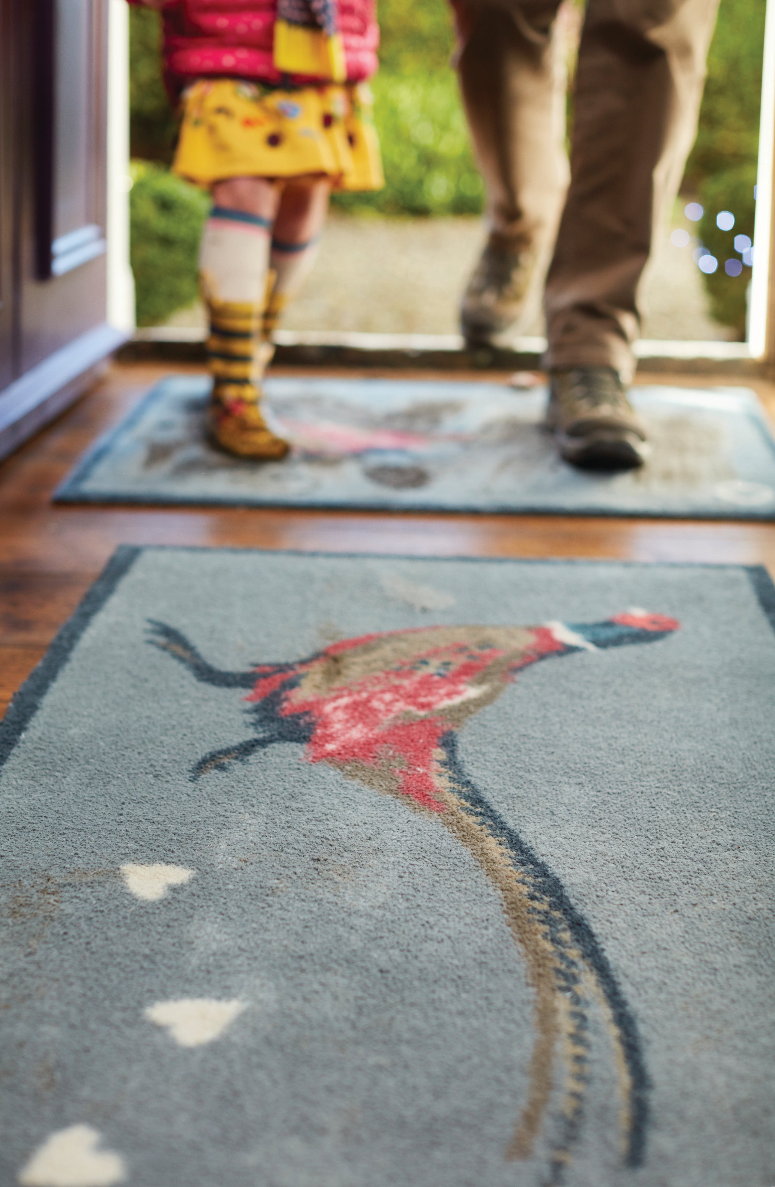 Pheasant 1 Runner