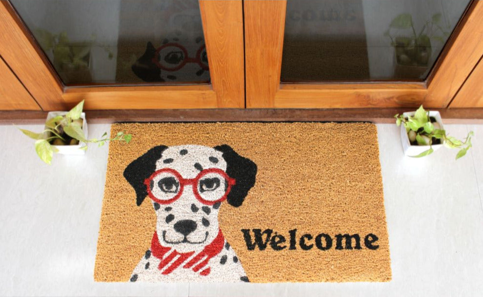 Dalmation Welcome