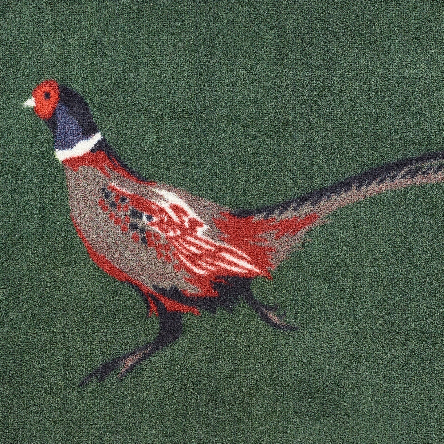 Pheasant 2 Runner