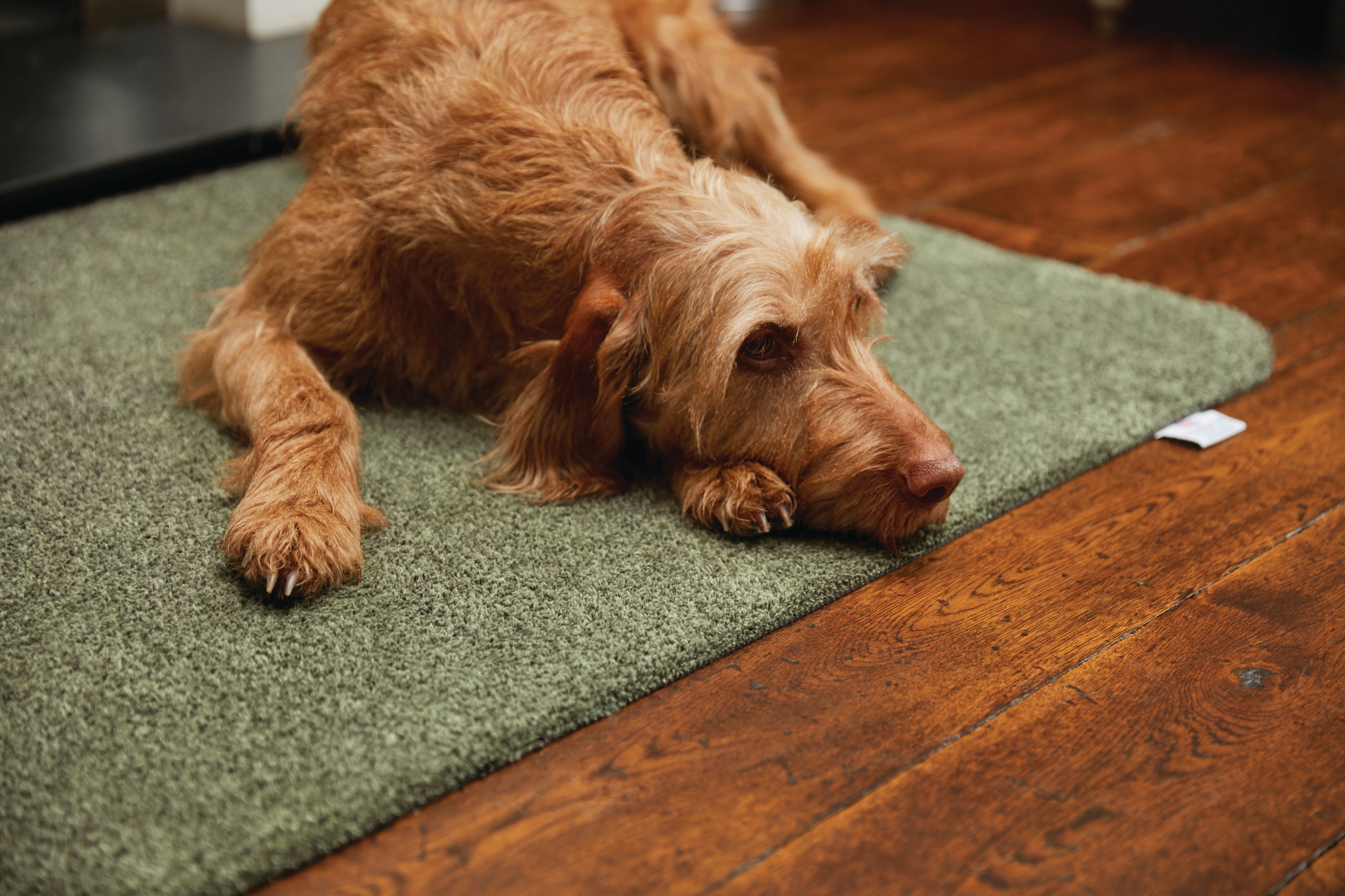 Sage Green Runner