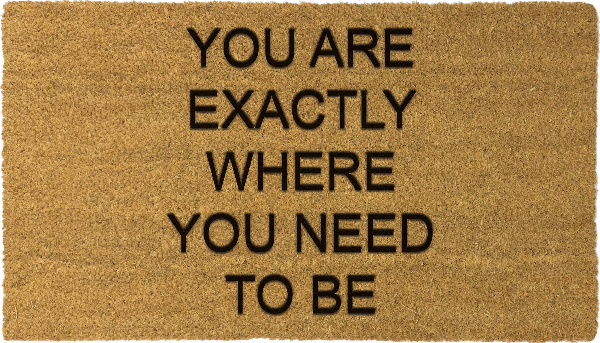 You are exactly where you need to be