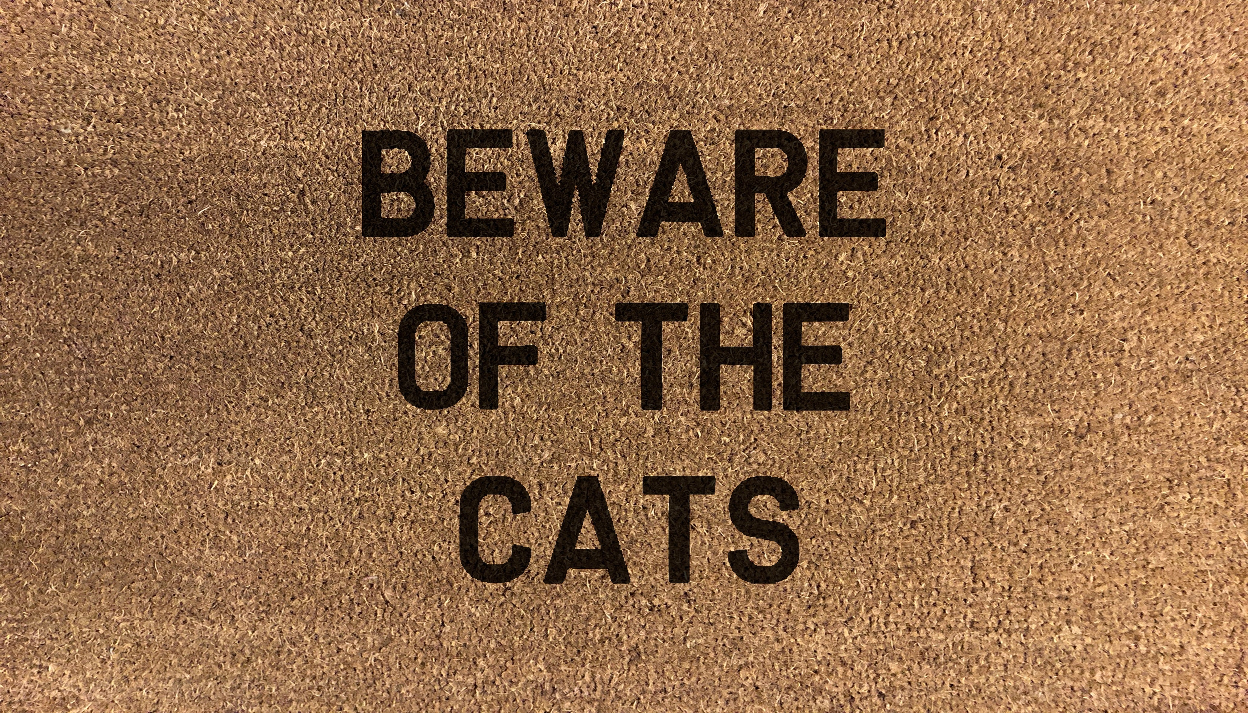 Beware Of The Cats