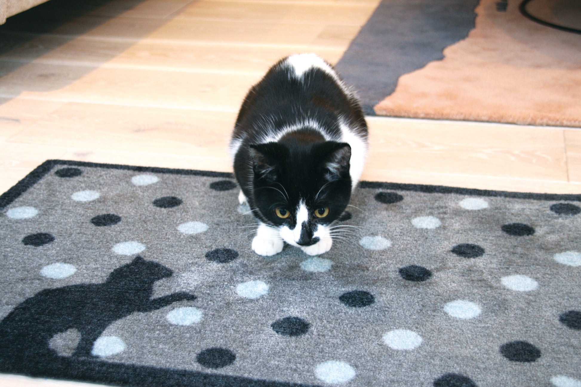 Howler & Scratch Cat Spot 1 - DoormatsOnline