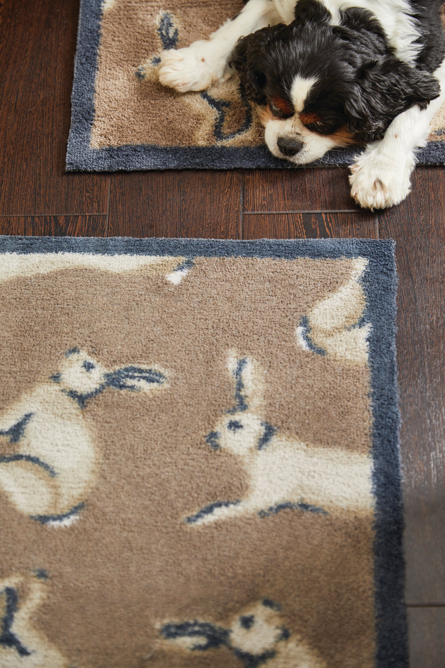 Hug Rug Hare 1 - DoormatsOnline