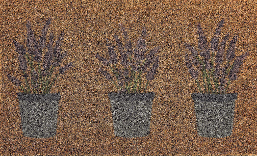 Lavender Coir