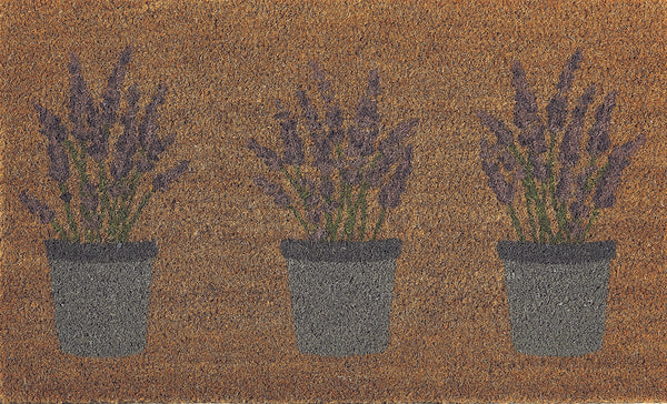 Lavender Coir