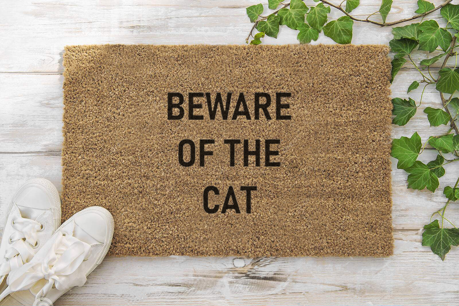 Beware Of The Cat