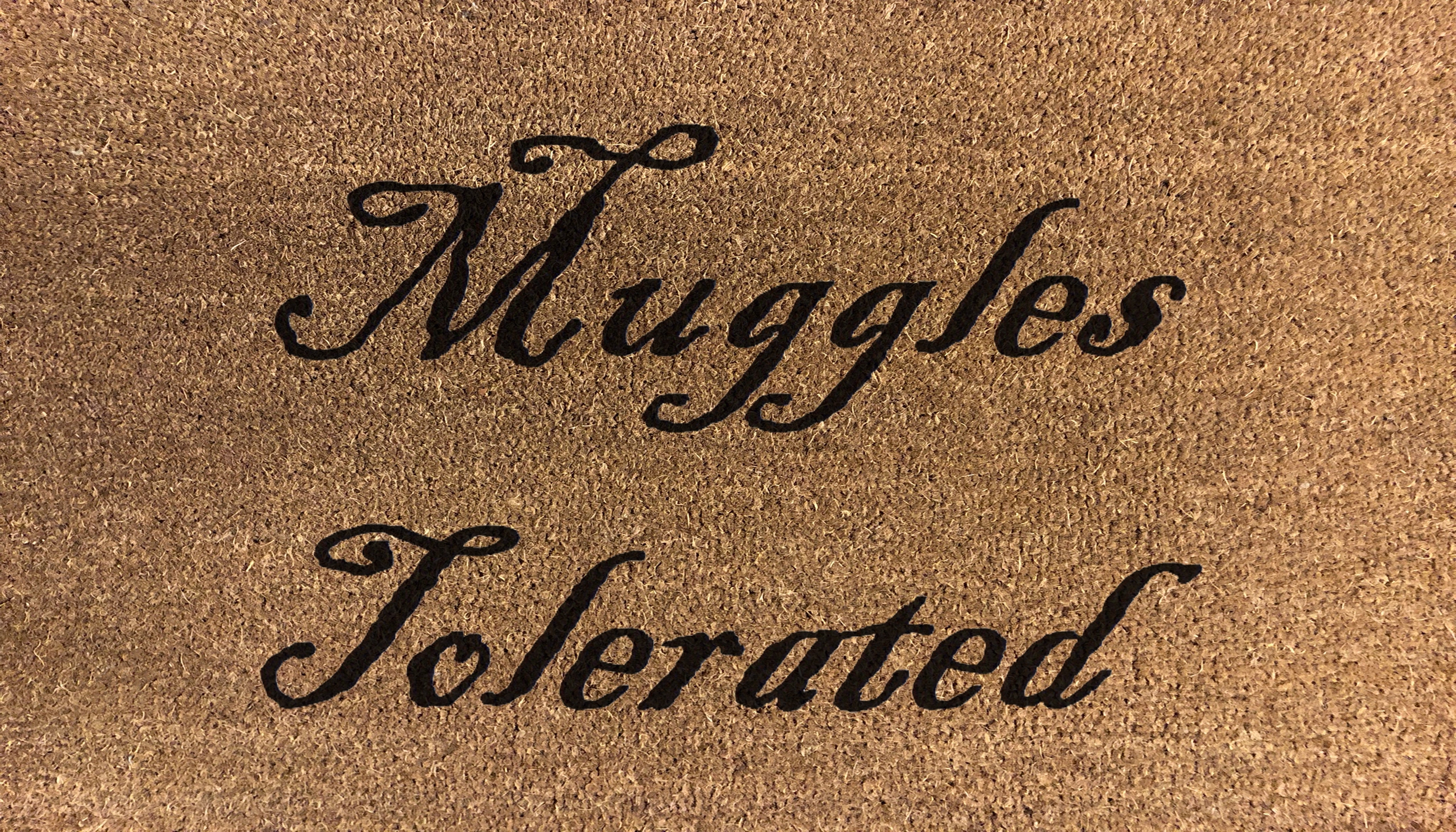 Muggles Tolerated